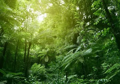 &nbsp;Learn how excessive oxygen availability during cell culture causes abnormal cell behavior&nbsp;